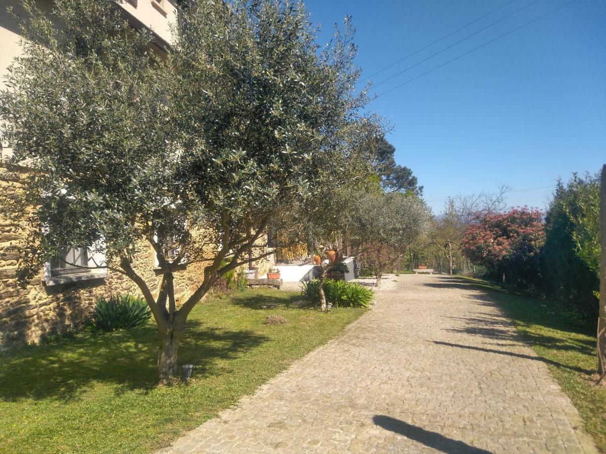 Quinta Do Senhor Villa Braga Exterior photo